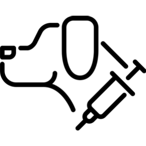 piktogram